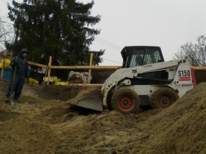 Bobcat